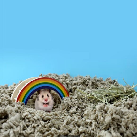 Carefresh Natural Small Pet Bedding 60 liters Guinea Pig Rabbit Hamster - Picture 2 of 7